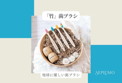 ★『竹』歯ブラシ★　～未来のことを考えながら、今日も歯をみがく🪥～