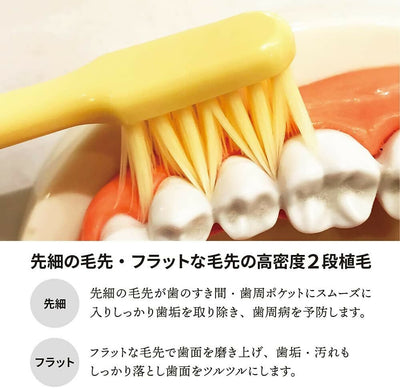 みがきやすい歯ブラシ ECO 極 6本組