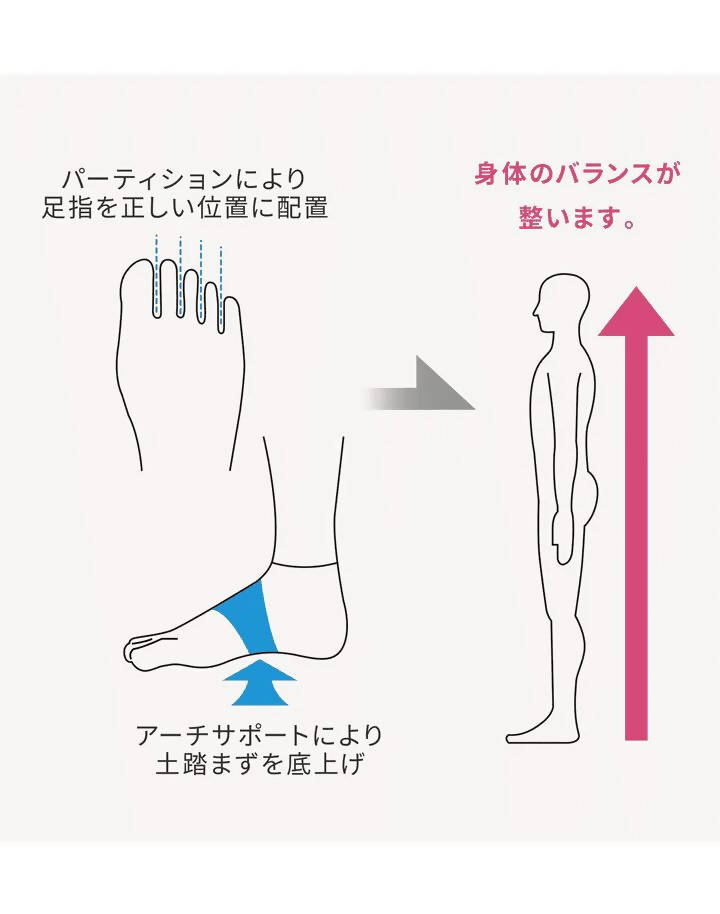 フットパーティションとアーチサポートが体のバランスを改善するのにどのように役立つかを示す図。左側は、ハラカドのカミックス シークレット5本指アンクルソックス 23cm～27cm【和紙素材】のオーガニックブルーサポートによる、パーティションと土踏まずのリフトアップを使った正しい足指のアライメントを示しています。右側には、上向きの矢印が付いたバランスのとれた立ち姿が示されています。