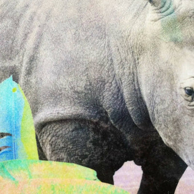 エクスプローラークッションカバー　Holiday Rhino