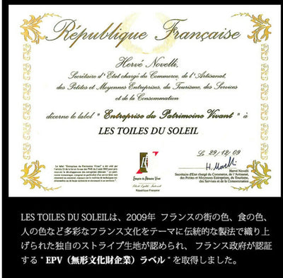 スクリーンショット_17-2-2025_12951_lestoilesdusoleils.com