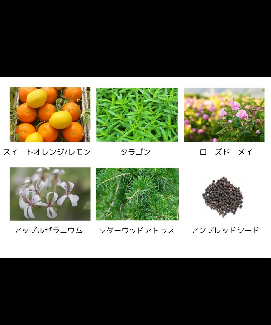 pe2fjjqb