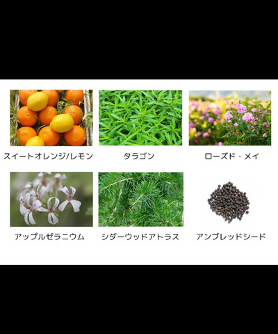 pe2fjjqb
