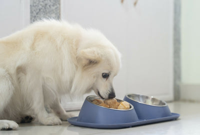 JERRY ジェリー ヒマラヤ産100%ナチュラル　犬用おやつチーズ