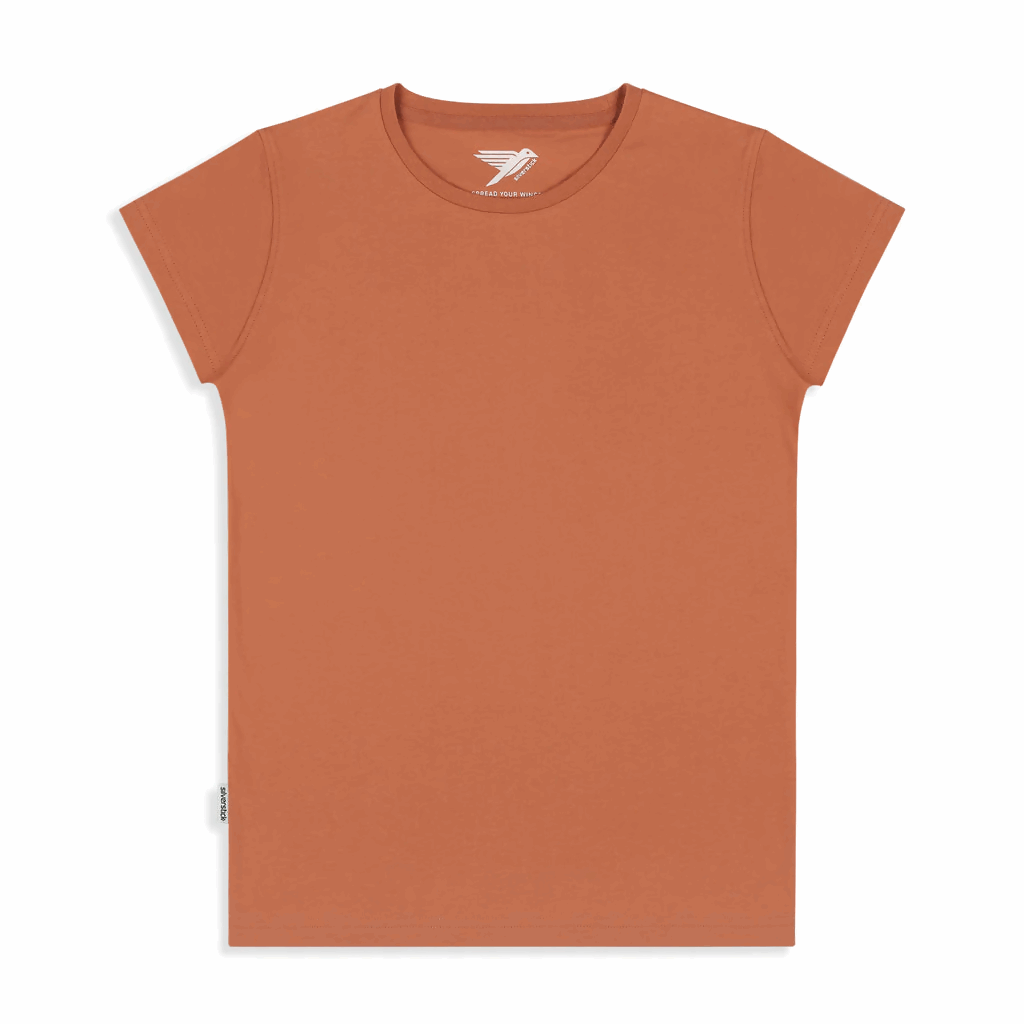 ’ADVENTURE' オーガニックコットン１００％(GOTS認証) リラックスフィット Tシャツ-'SILVERSTICK'