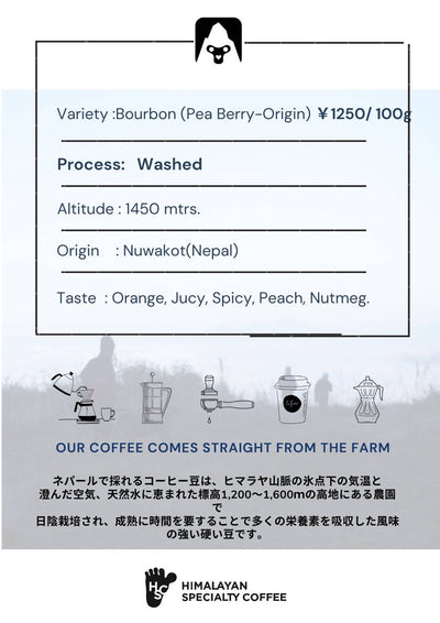 Yeti Coffee　ネパール　ピーベリー　 (粉）