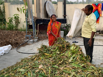 ヒマラヤの職人による『コールドプレス』植物石鹸 　アーユルヴェーダ　モリンガソープ〈エイジングケア〉Bounty Himalaya Moringa Soap