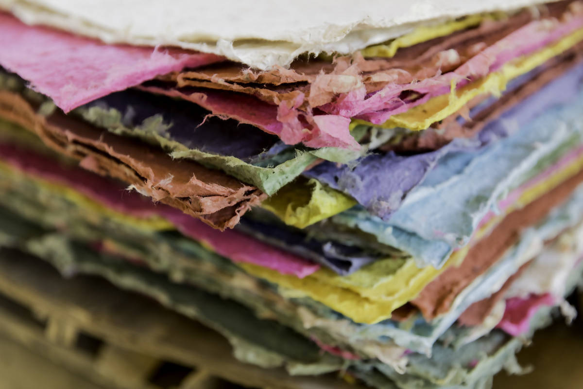 ゾウのpooからできたエシカルな紙！ 『 プープーペーパー』　メモパッド　５カラー　| Seplumo | SDGS | ハンドメイド | エシカル商品 ぞう | ぞうさん |うんち紙 | サスティナブルな紙  |うんちからできた紙
