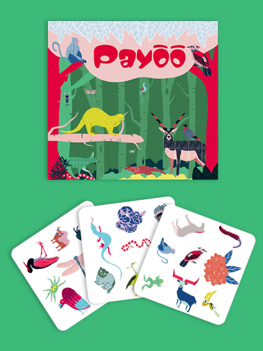 Payoo　ネパールの絵柄エシカルカードゲーム 
